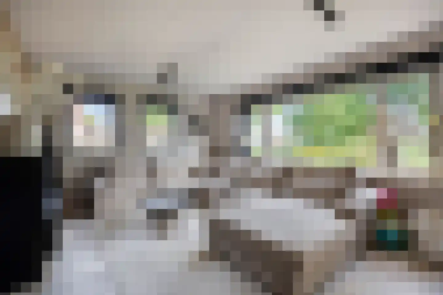 De Veert 10 Nieuwe Niedorp foto 3
