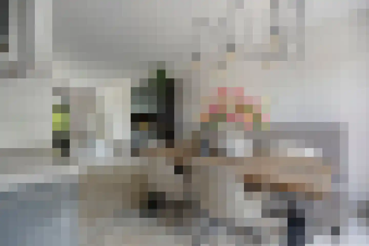 De Veert 10 Nieuwe Niedorp thumbnail 8