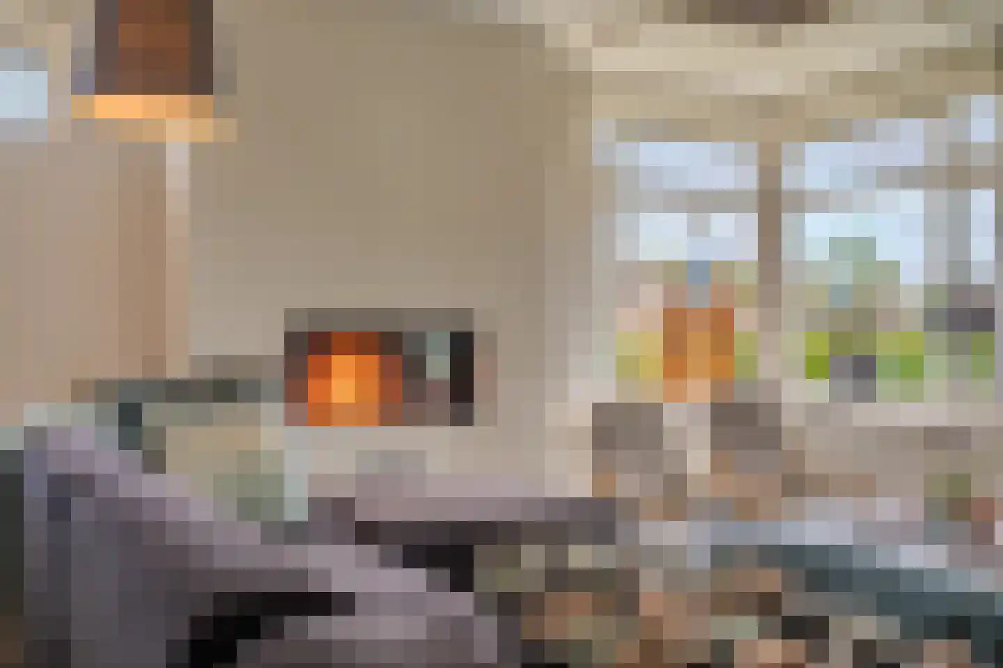 De Veiling 21 Hoogezand thumbnail 12
