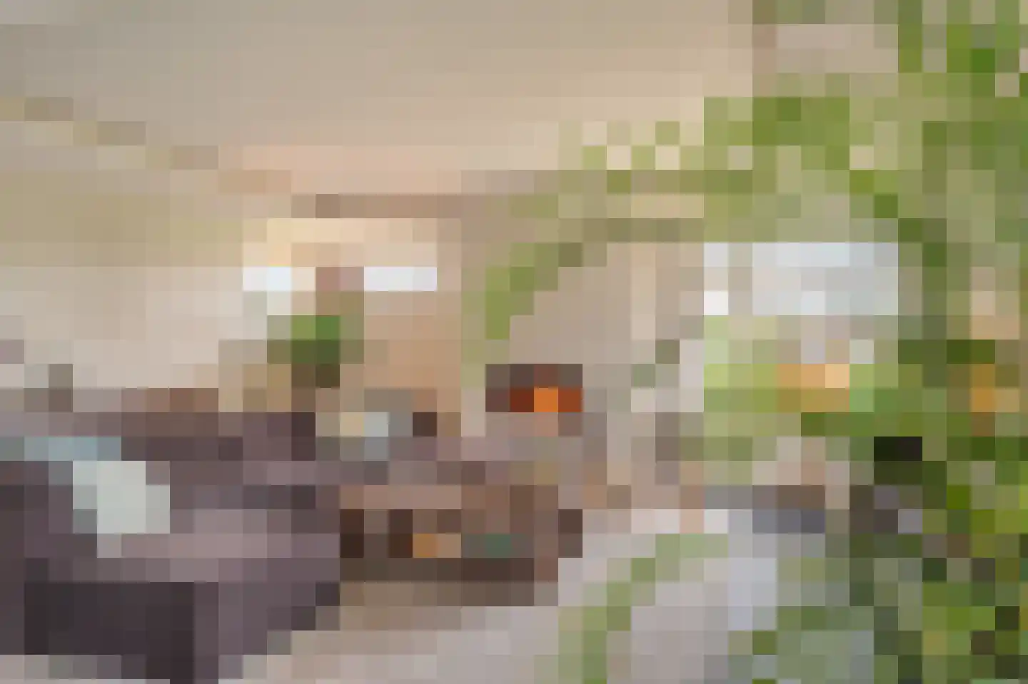 De Veiling 21 Hoogezand thumbnail 15