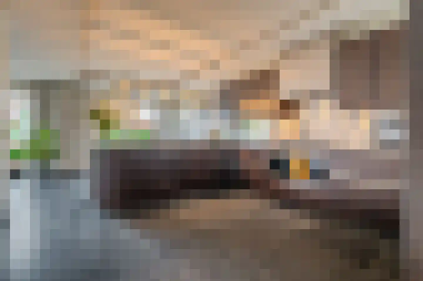 De Veiling 21 Hoogezand thumbnail 26
