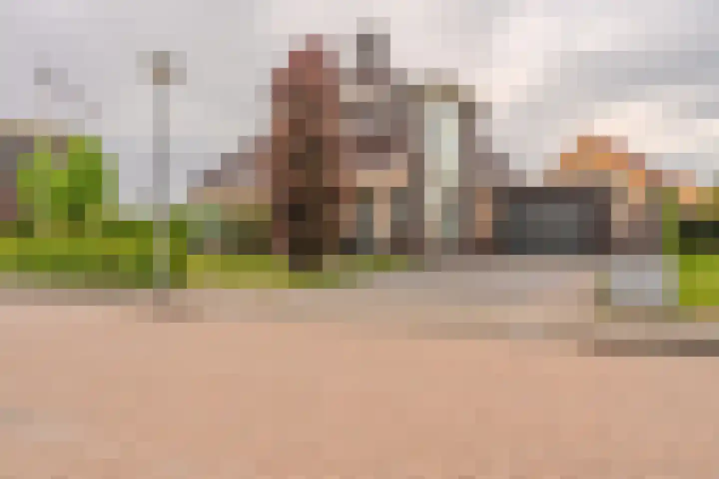 De Veiling 21 Hoogezand thumbnail 5