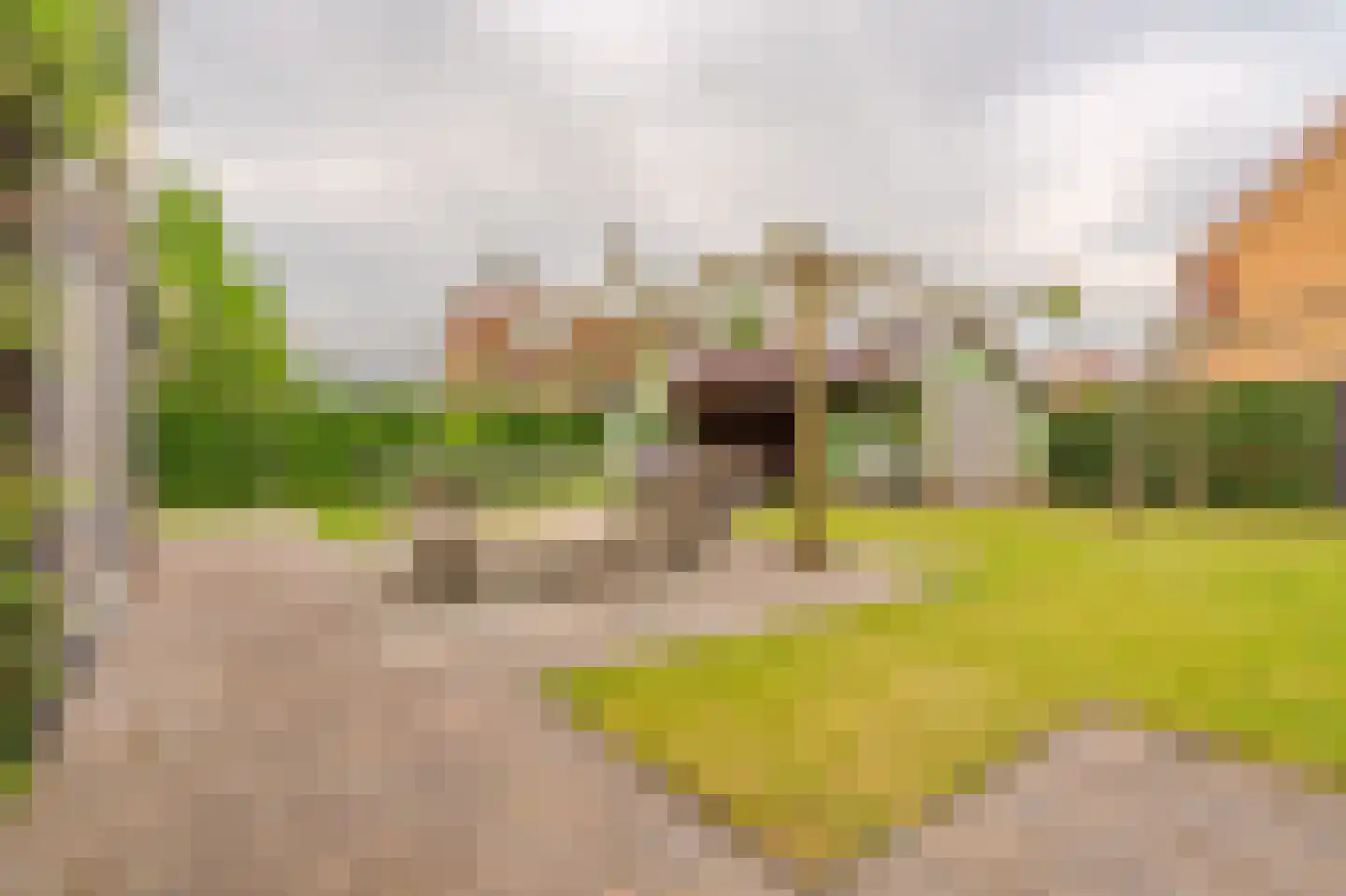 De Veiling 21 Hoogezand thumbnail 66