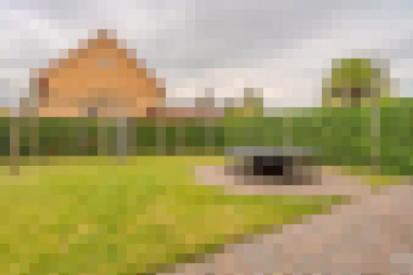 De Veiling 21 Hoogezand thumbnail 67