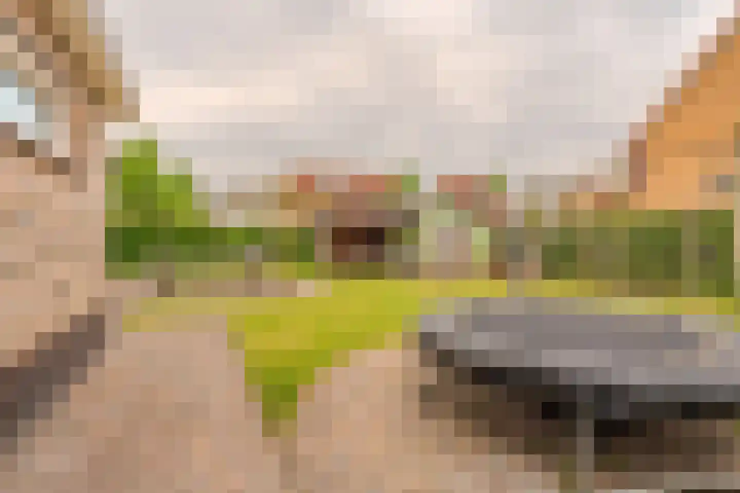De Veiling 21 Hoogezand thumbnail 69
