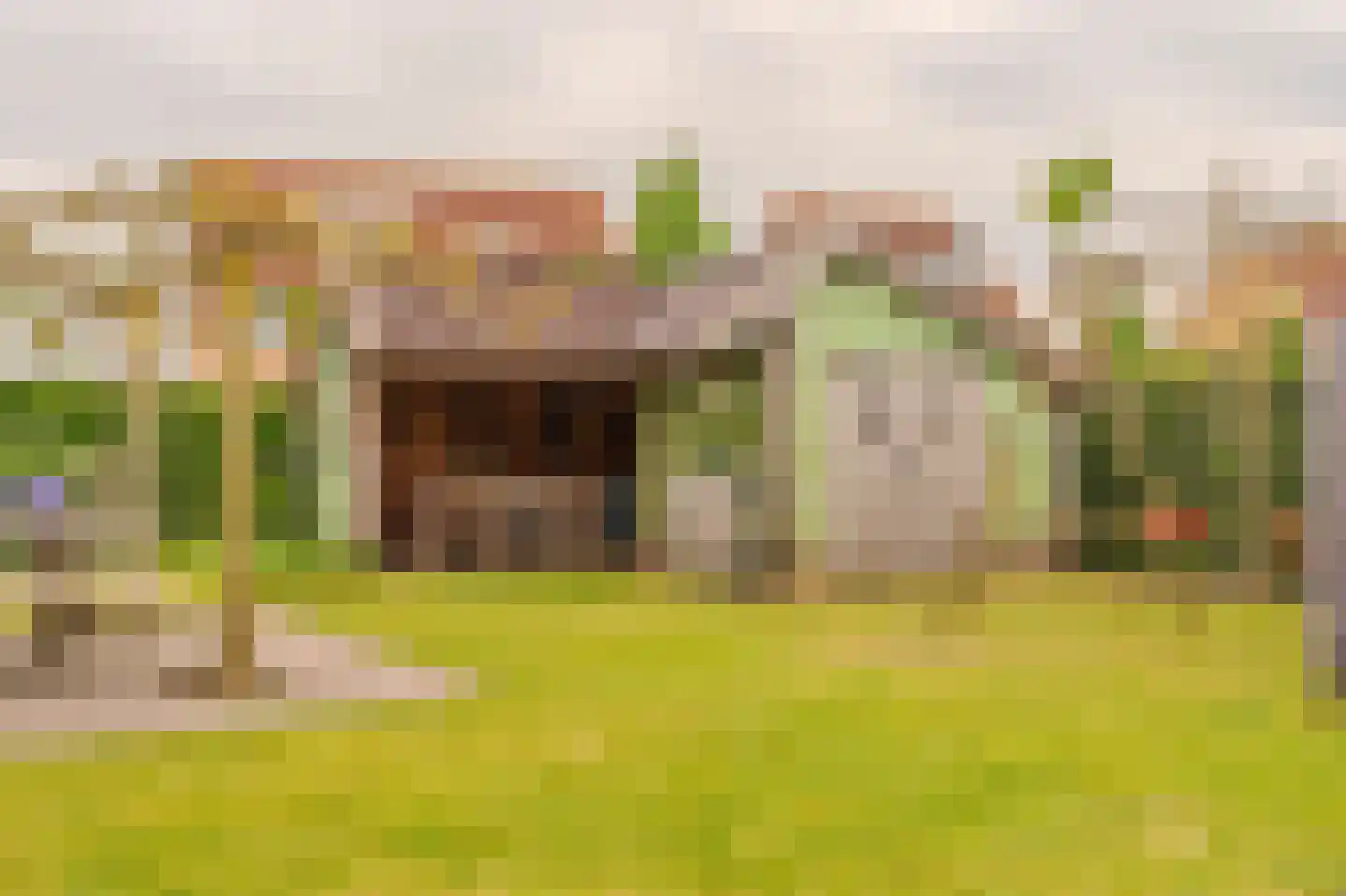 De Veiling 21 Hoogezand thumbnail 70