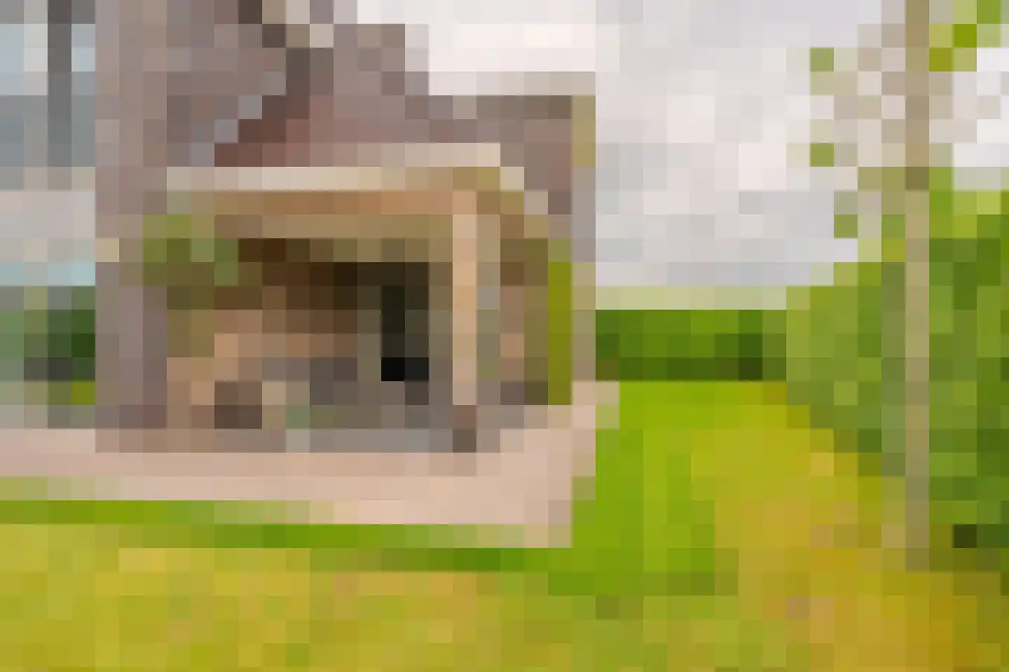 De Veiling 21 Hoogezand thumbnail 73