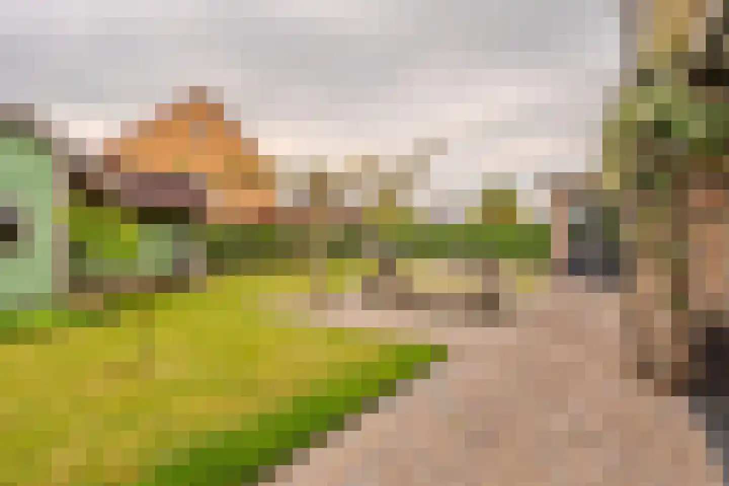 De Veiling 21 Hoogezand thumbnail 76