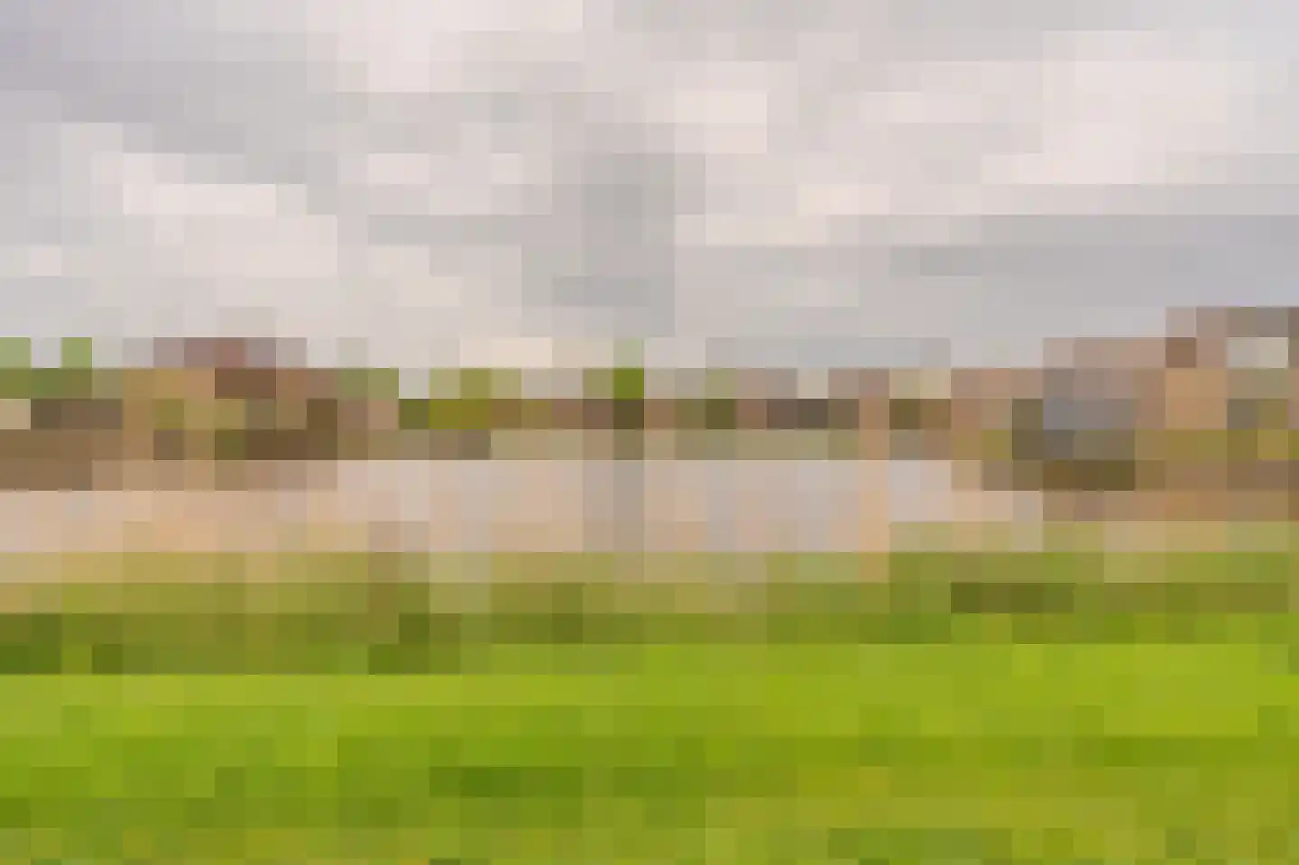 De Veiling 21 Hoogezand thumbnail 9