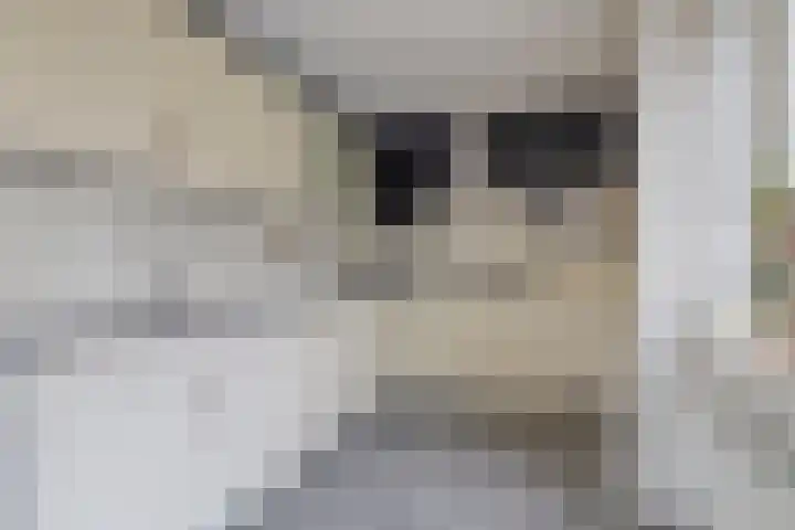 De Veiling 35 Hoogezand thumbnail 13