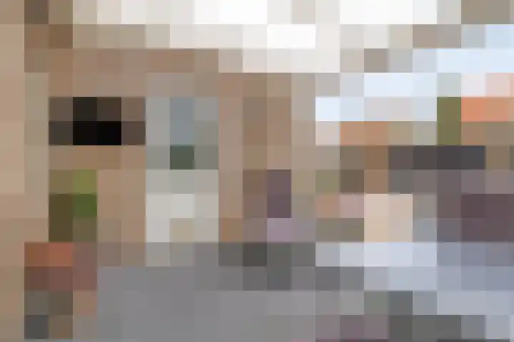 De Veiling 35 Hoogezand thumbnail 15