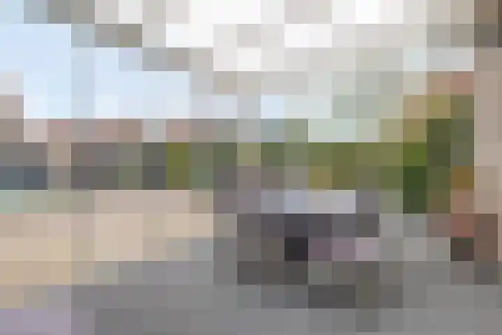 De Veiling 35 Hoogezand thumbnail 16