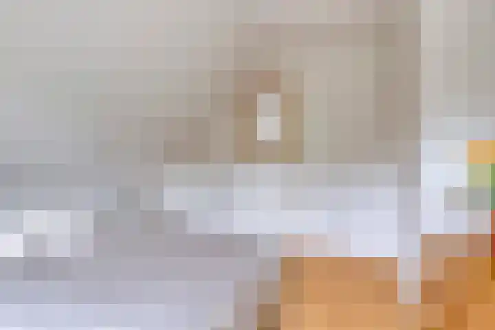 De Veiling 35 Hoogezand thumbnail 24