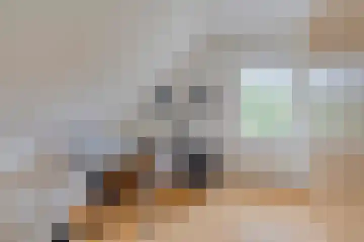 De Veiling 35 Hoogezand thumbnail 25