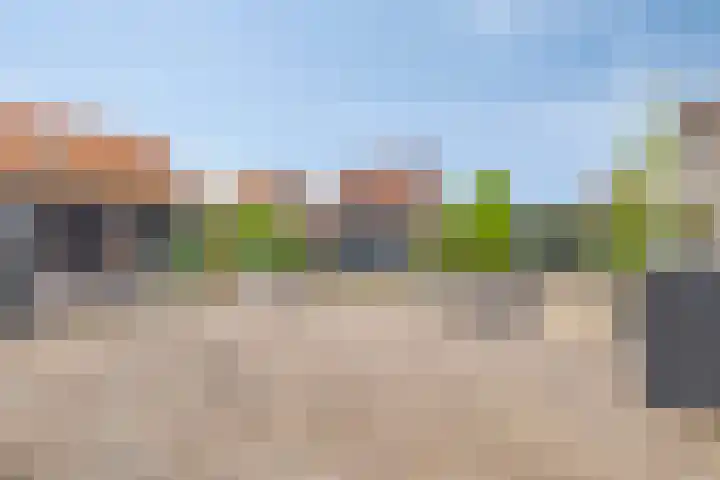 De Veiling 35 Hoogezand thumbnail 30