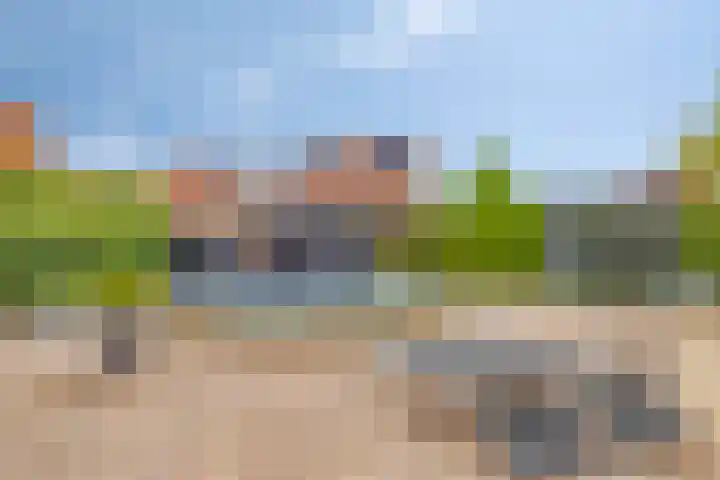De Veiling 35 Hoogezand thumbnail 31
