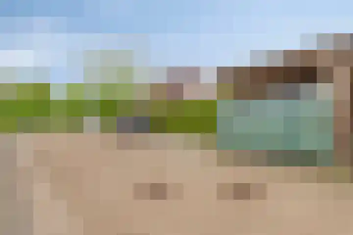 De Veiling 35 Hoogezand thumbnail 36