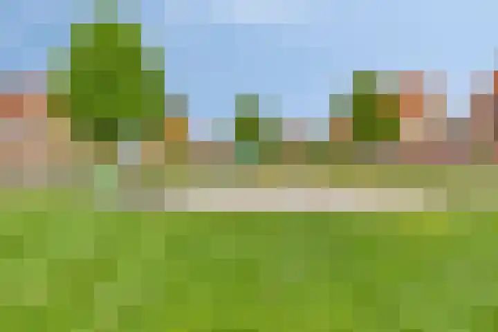 De Veiling 35 Hoogezand thumbnail 38
