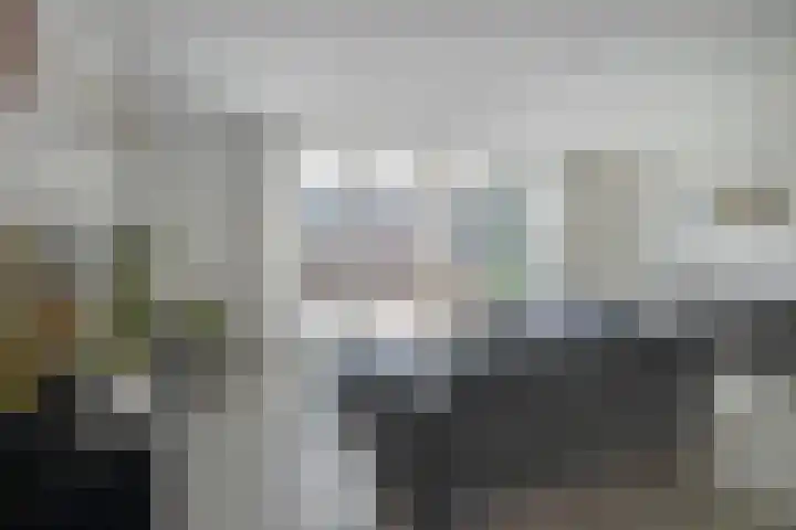 De Veilingmeester 13 Kapelle thumbnail 12