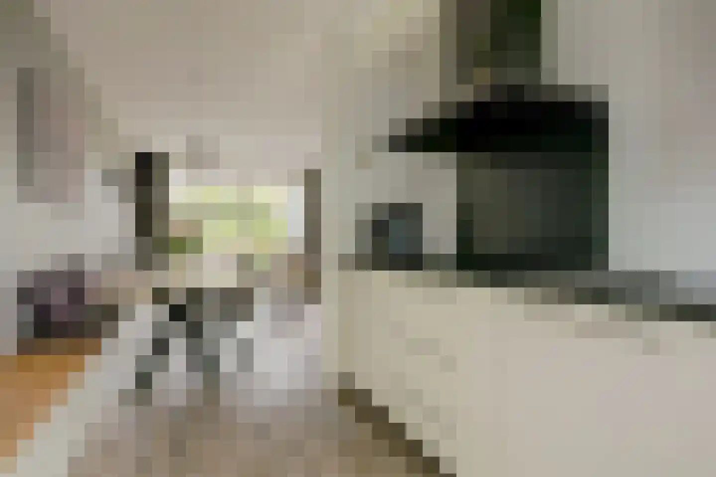 De Veilingmeester 46 Kapelle thumbnail 15