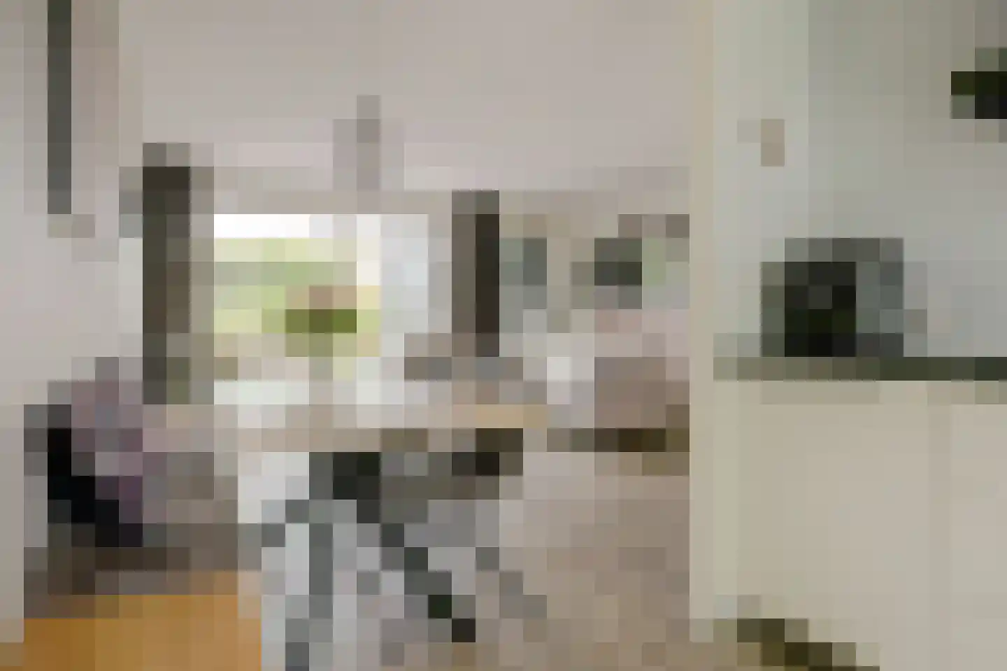 De Veilingmeester 46 Kapelle thumbnail 17