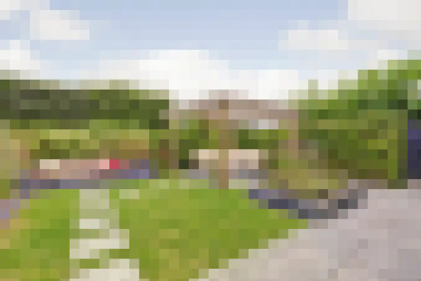 De Veilingmeester 46 Kapelle thumbnail 35