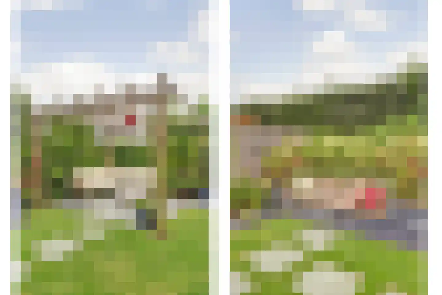 De Veilingmeester 46 Kapelle thumbnail 36