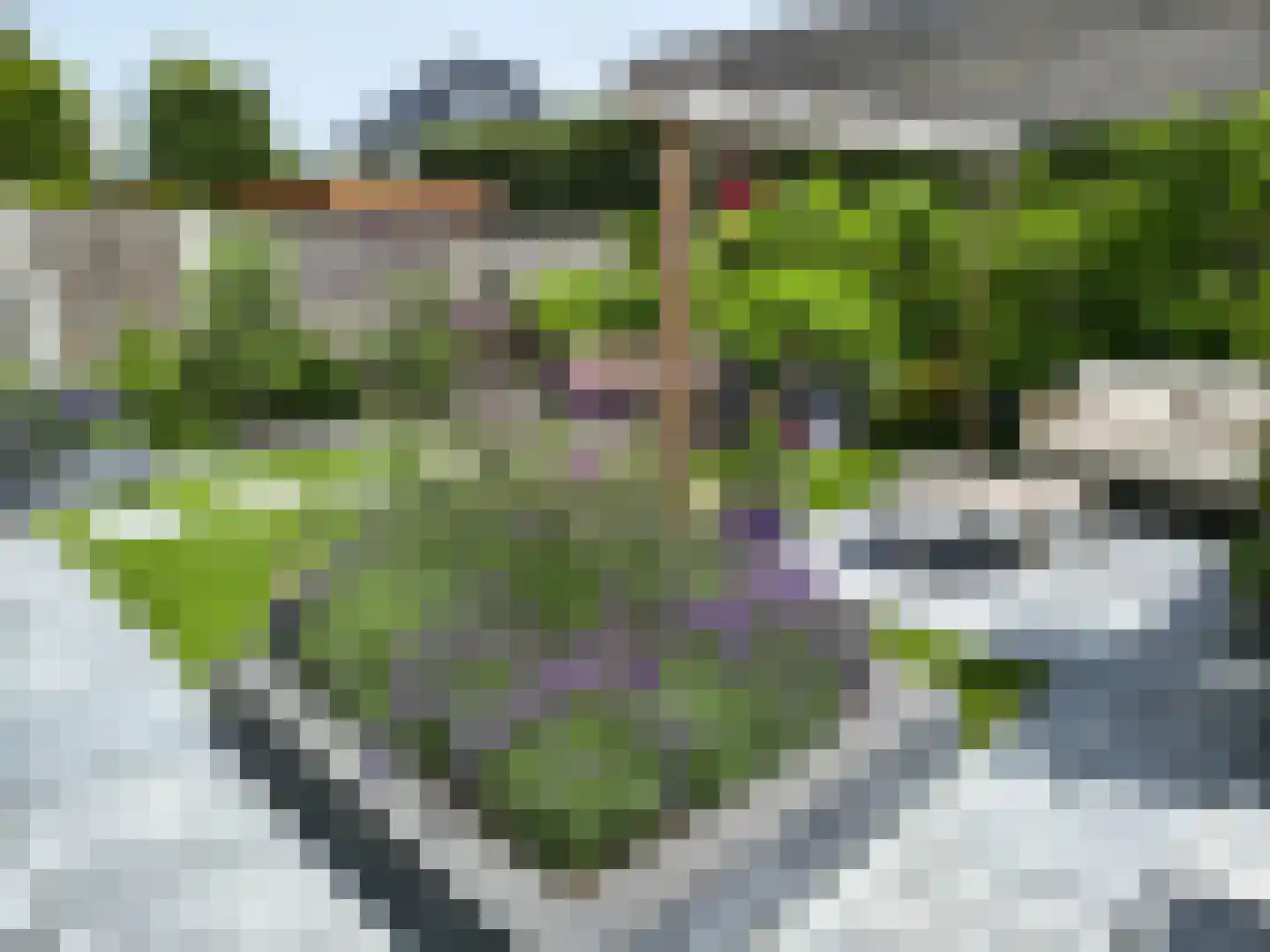 De Veilingmeester 46 Kapelle thumbnail 4