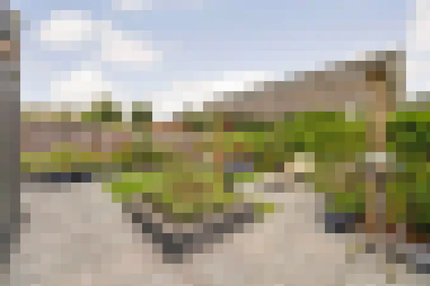 De Veilingmeester 46 Kapelle thumbnail 41