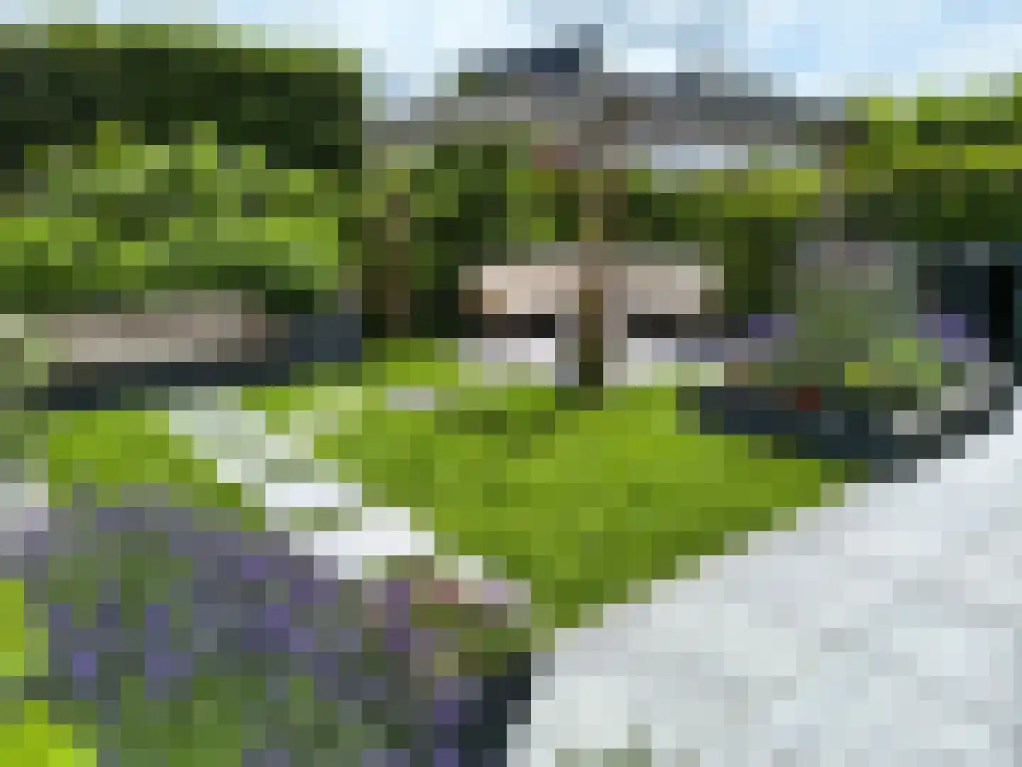 De Veilingmeester 46 Kapelle thumbnail 42