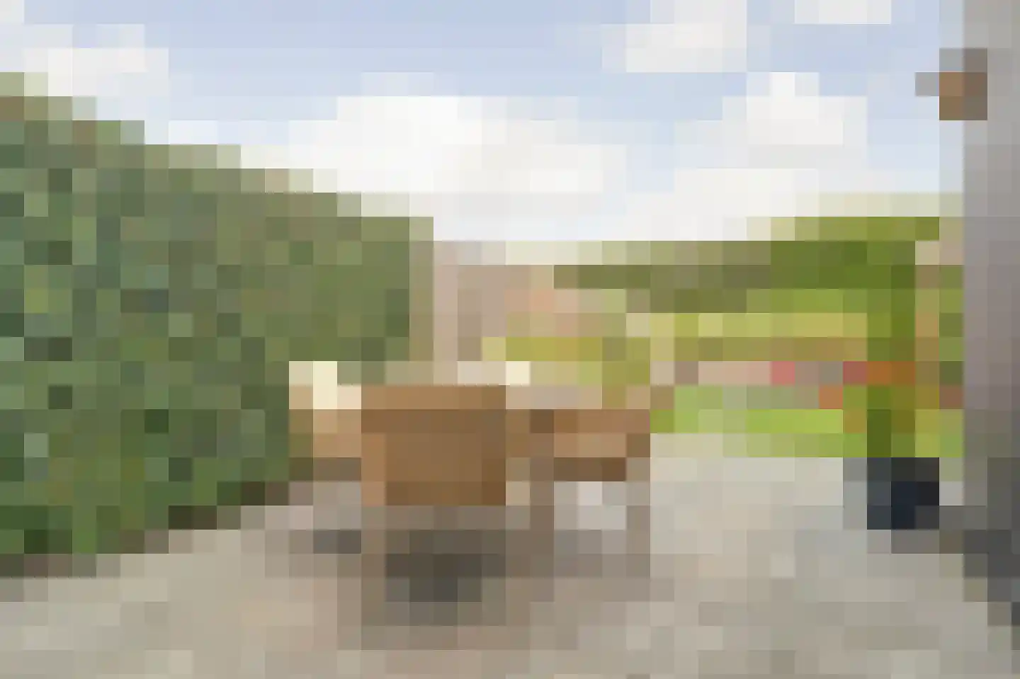 De Veilingmeester 46 Kapelle thumbnail 43