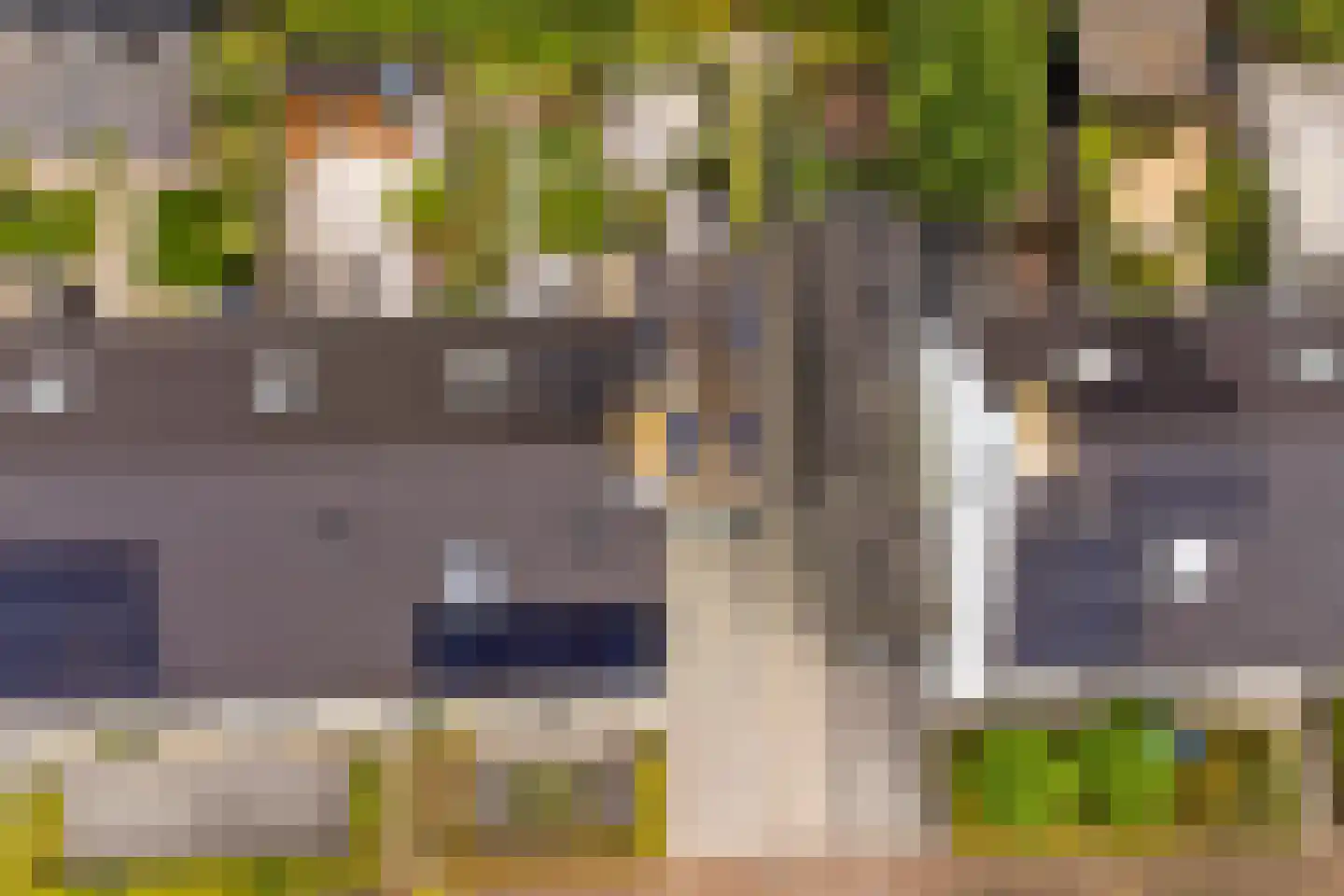 De Veilingmeester 46 Kapelle thumbnail 46