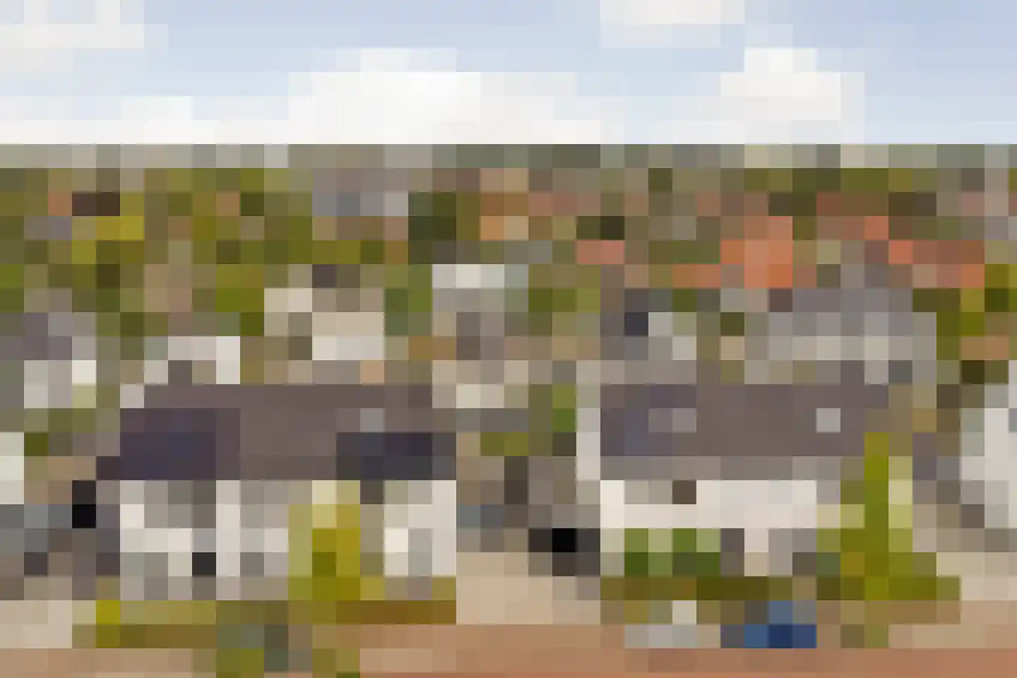 De Veilingmeester 46 Kapelle thumbnail 48