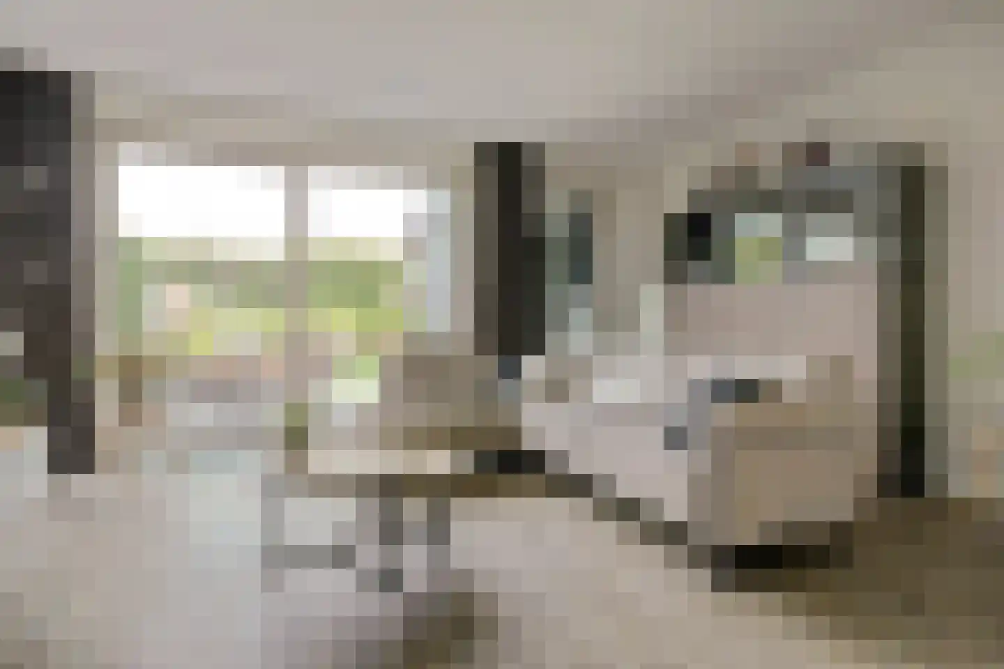 De Veilingmeester 46 Kapelle thumbnail 5