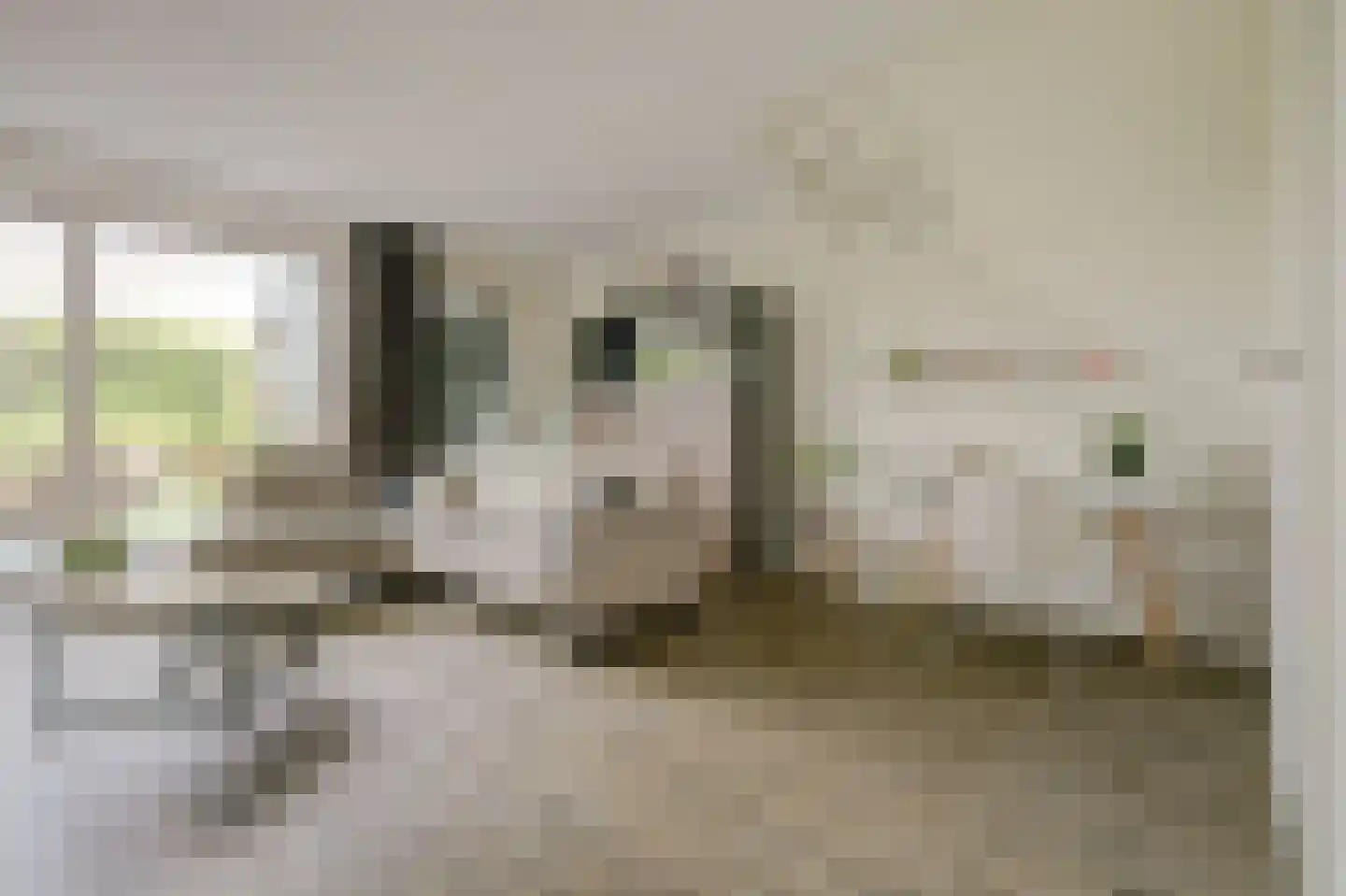 De Veilingmeester 46 Kapelle thumbnail 6