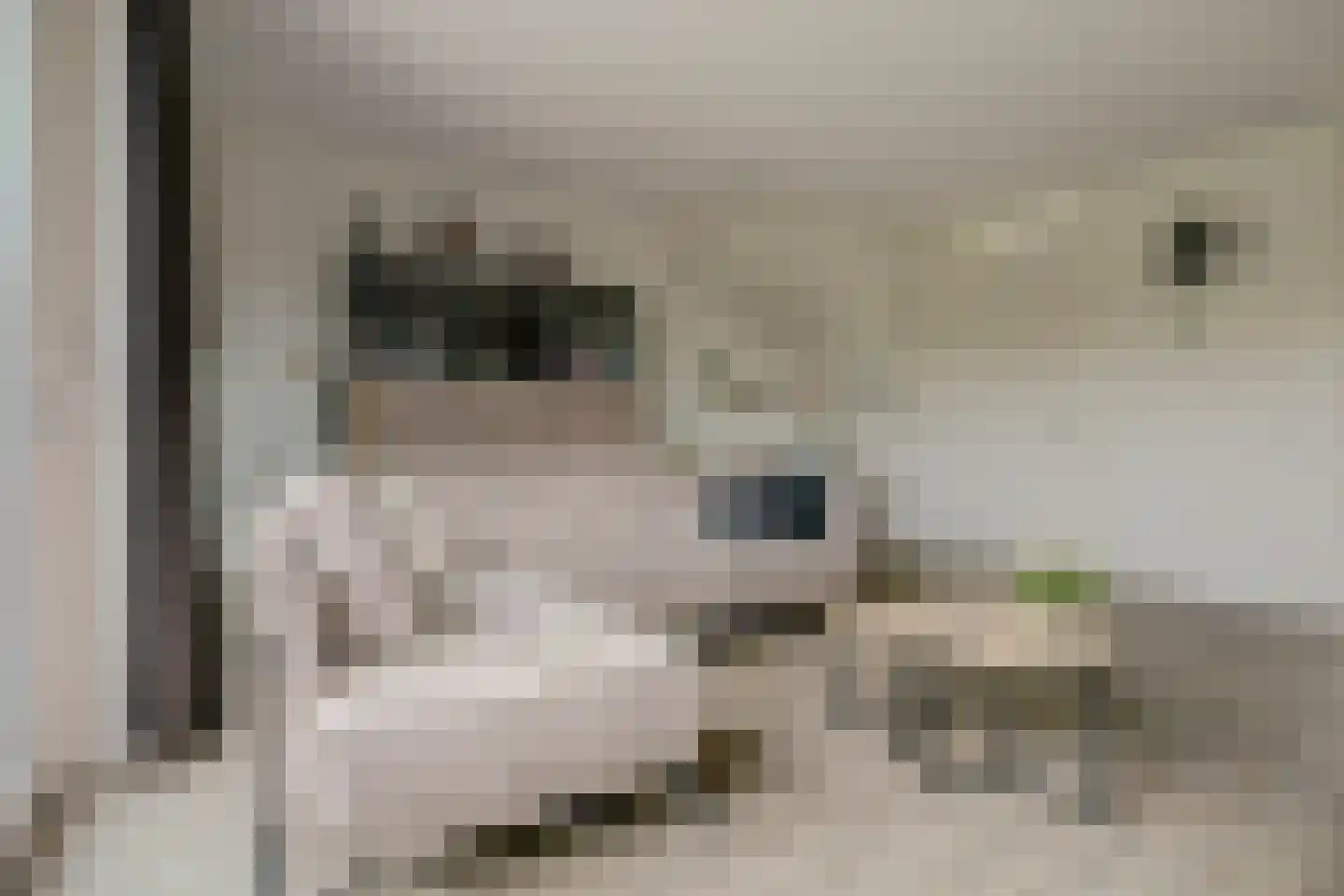 De Veilingmeester 46 Kapelle thumbnail 7