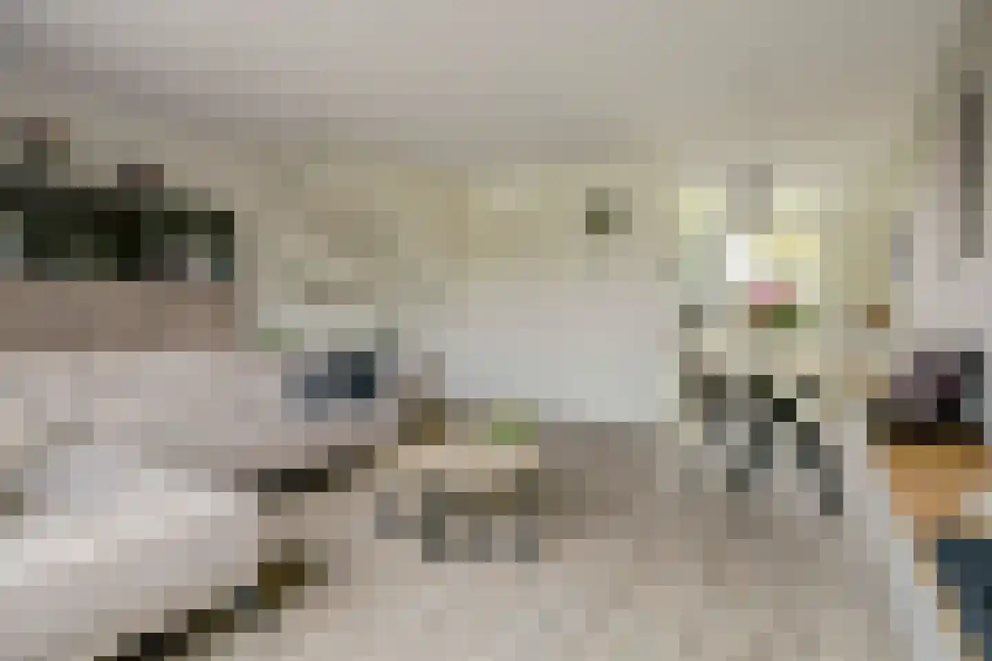 De Veilingmeester 46 Kapelle thumbnail 9