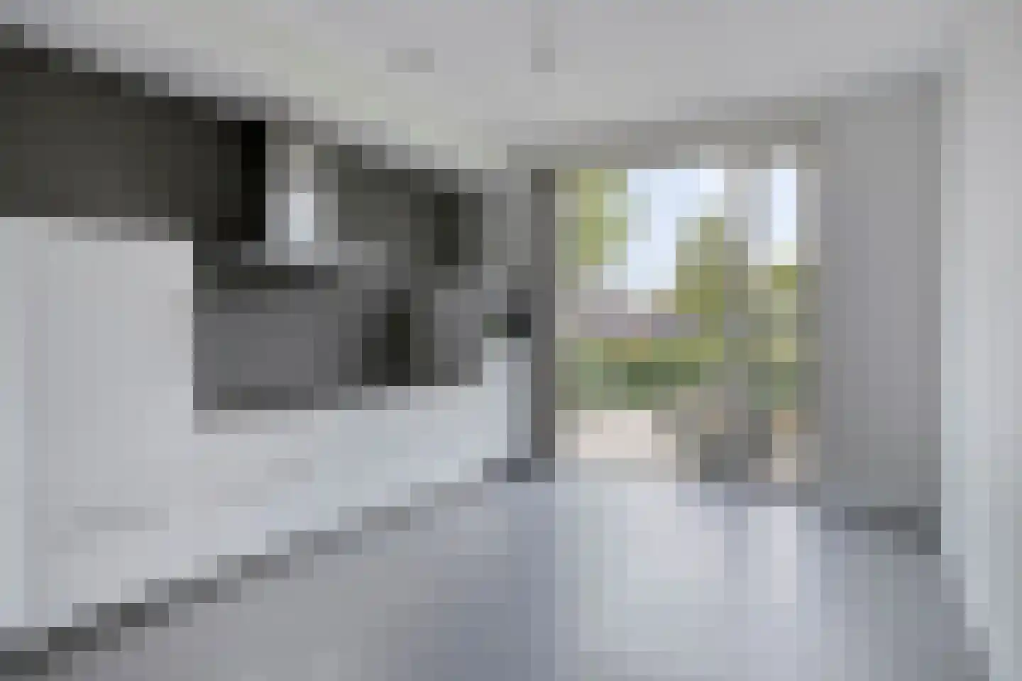 De Veilingmeester 5 Kapelle thumbnail 10