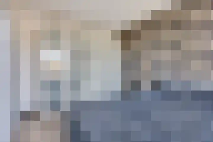 De Veilingmeester 8 Kapelle thumbnail 12