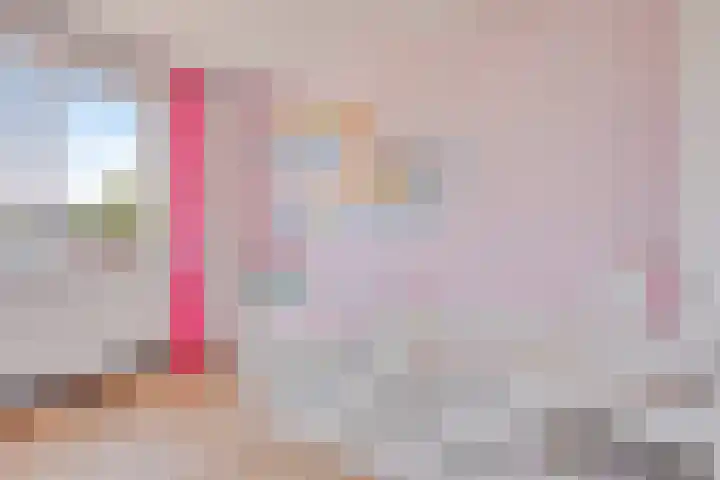 De Veilingmeester 8 Kapelle thumbnail 13