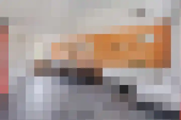 De Veilingmeester 8 Kapelle foto 2