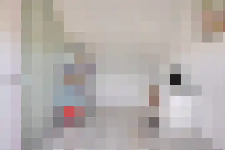 De Veilingmeester 8 Kapelle thumbnail 20