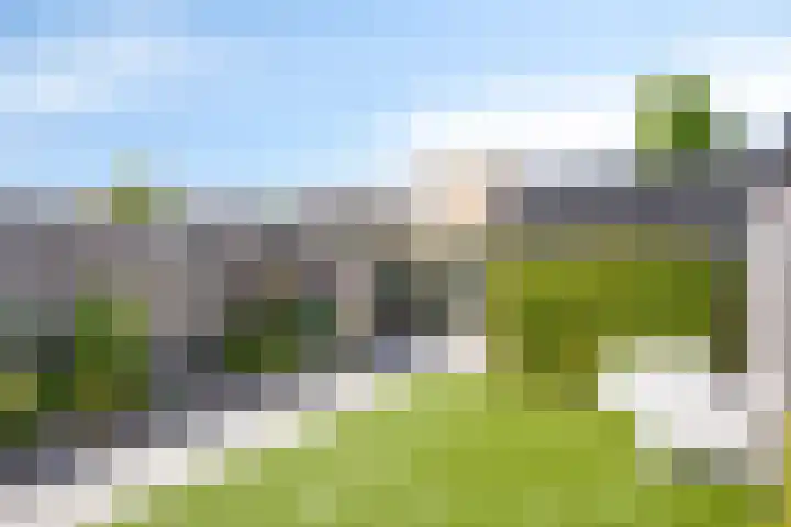 De Veilingmeester 8 Kapelle thumbnail 23