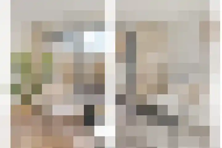 De Veilingmeester 8 Kapelle thumbnail 24