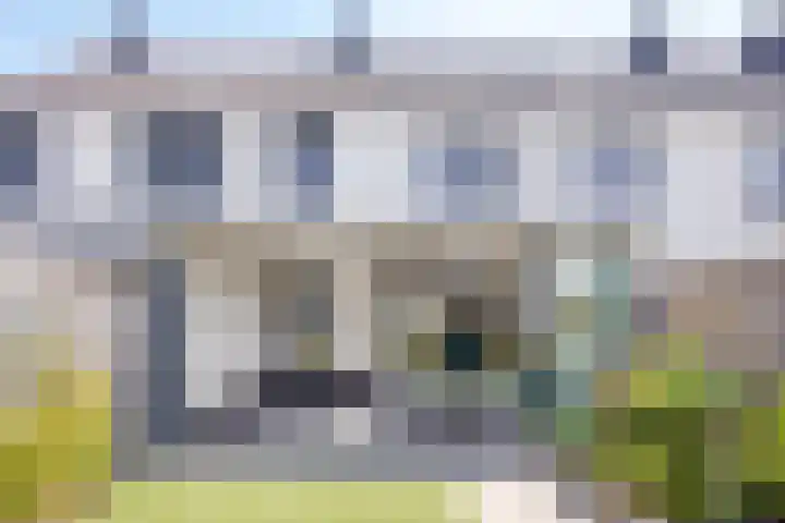 De Veilingmeester 8 Kapelle thumbnail 24