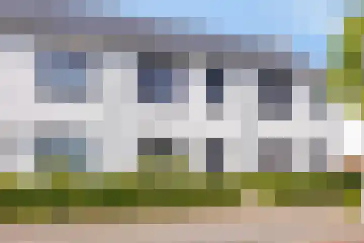 De Veilingmeester 8 Kapelle thumbnail 28