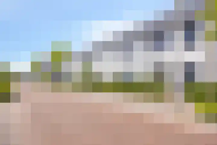 De Veilingmeester 8 Kapelle thumbnail 29