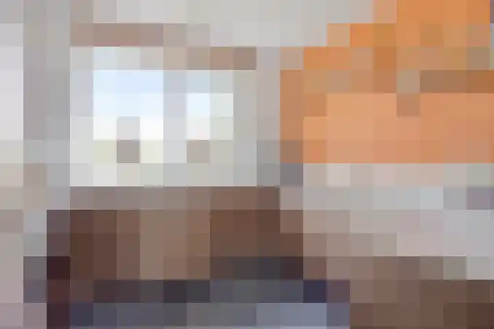 De Veilingmeester 8 Kapelle thumbnail 8