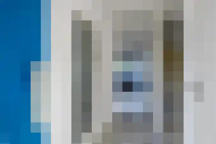 De Velden 12 Schiedam thumbnail 12