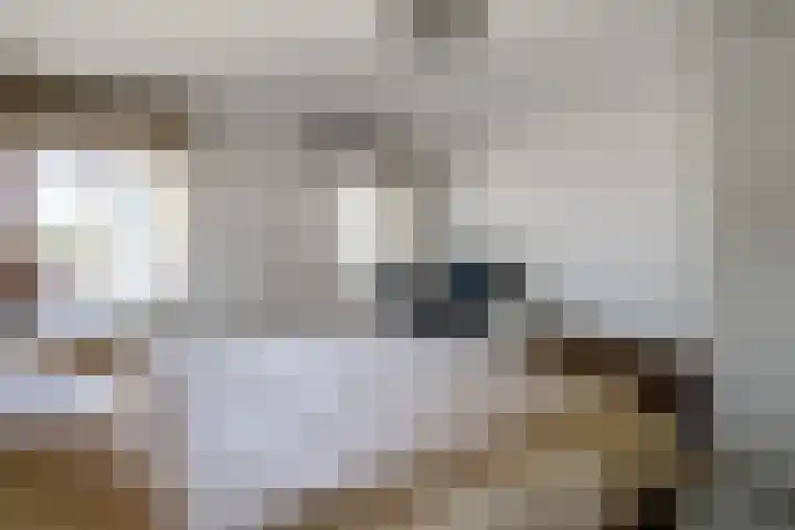De Velden 12 Schiedam thumbnail 17